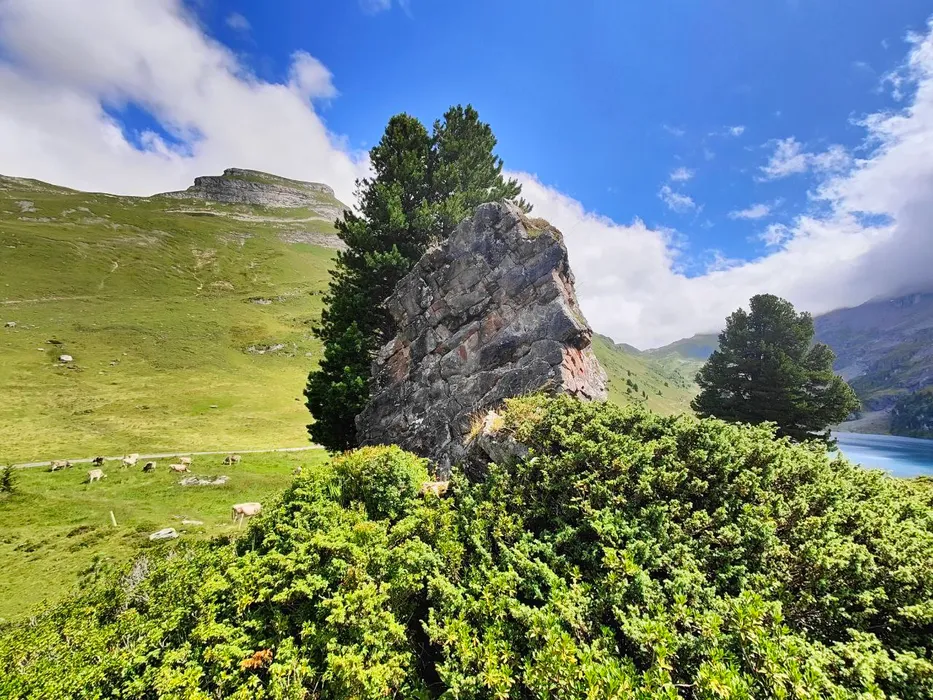 Cover for Engstlenalp